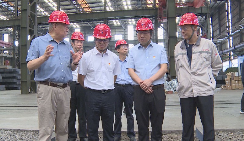 示范區(qū)管委會(huì)主任、代市長莊建球到我公司調(diào)研